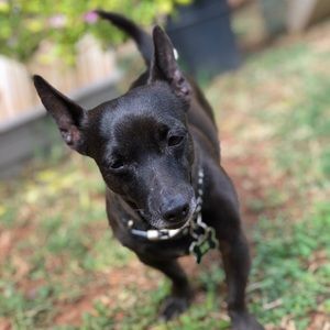 Meet your Posher, Erika